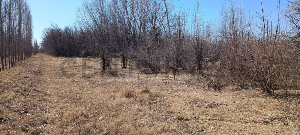 Terreno en Venta en Tunuyan, Mendoza