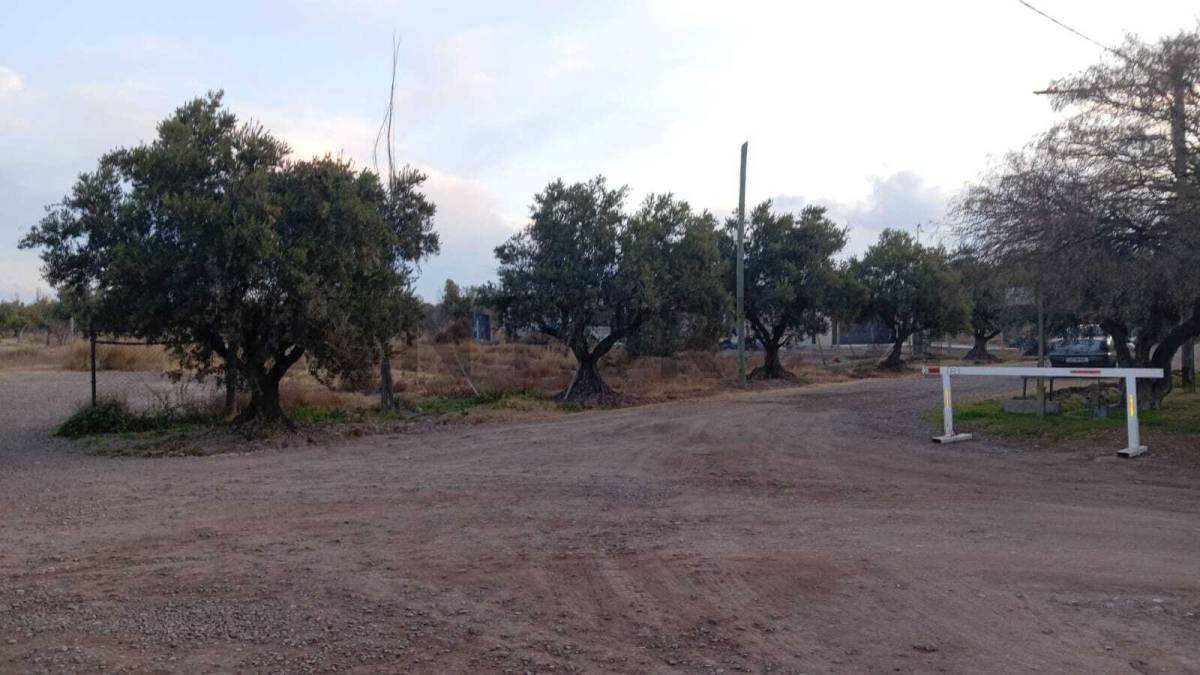 Terreno en Venta en Lujan de Cuyo, Mendoza