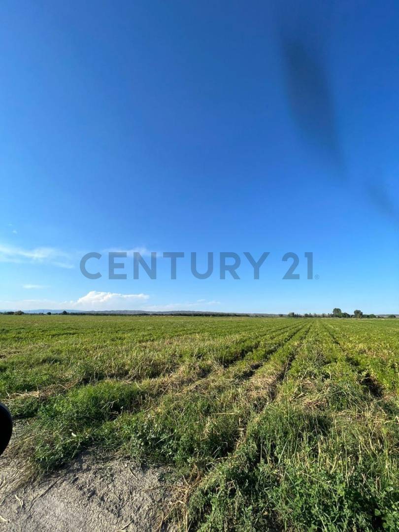Casa Quinta en Venta en Tupungato, Mendoza