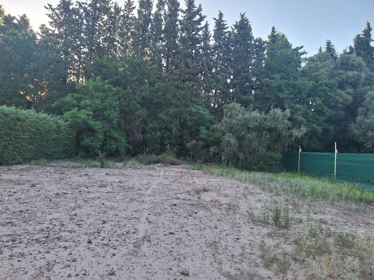Terreno en Venta en Maipu, Mendoza