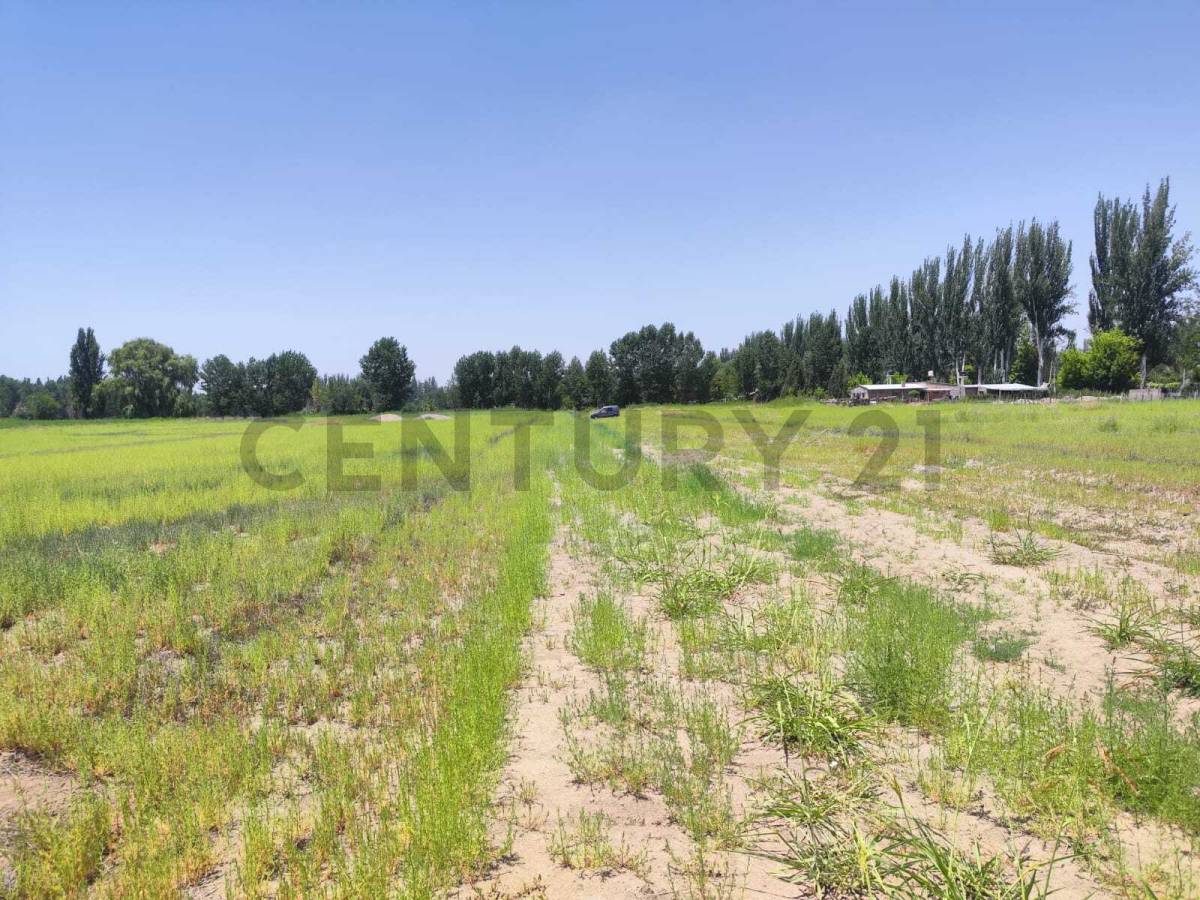 Terreno en Venta en Tunuyan, Mendoza