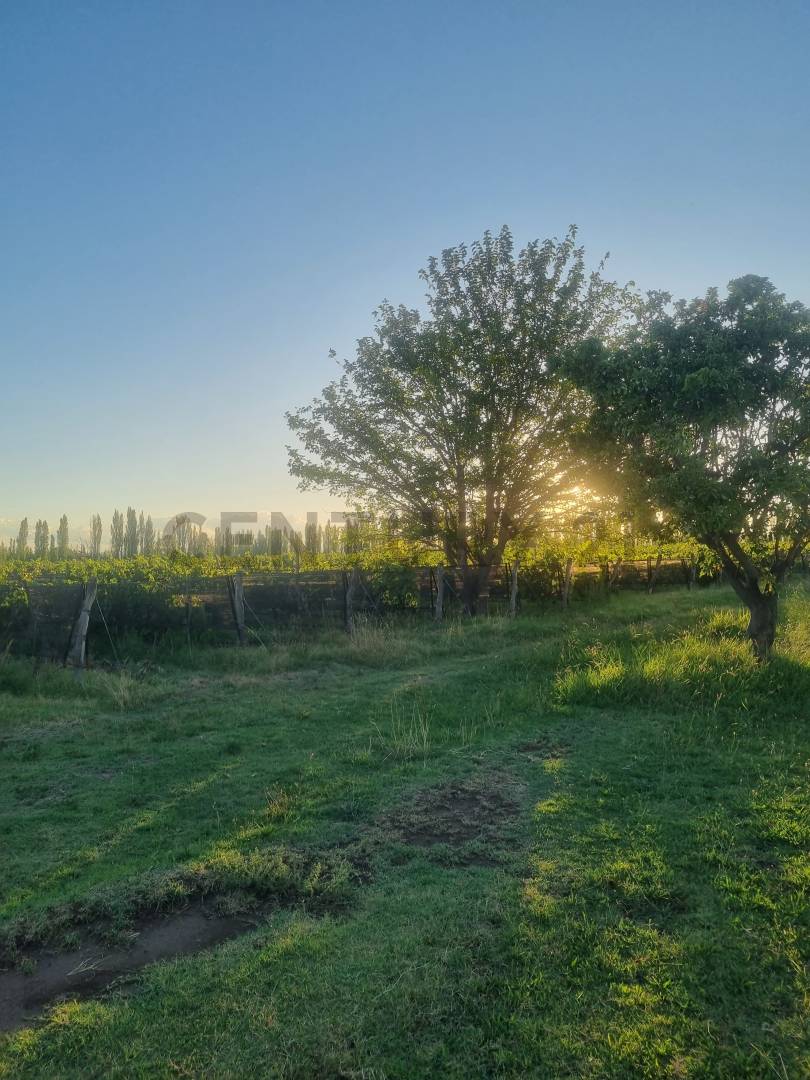 Casa Quinta en Venta en San Rafael, Mendoza
