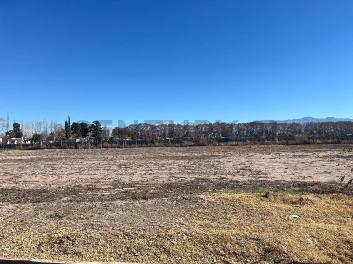 Terreno en Venta en Lujan de Cuyo, Mendoza