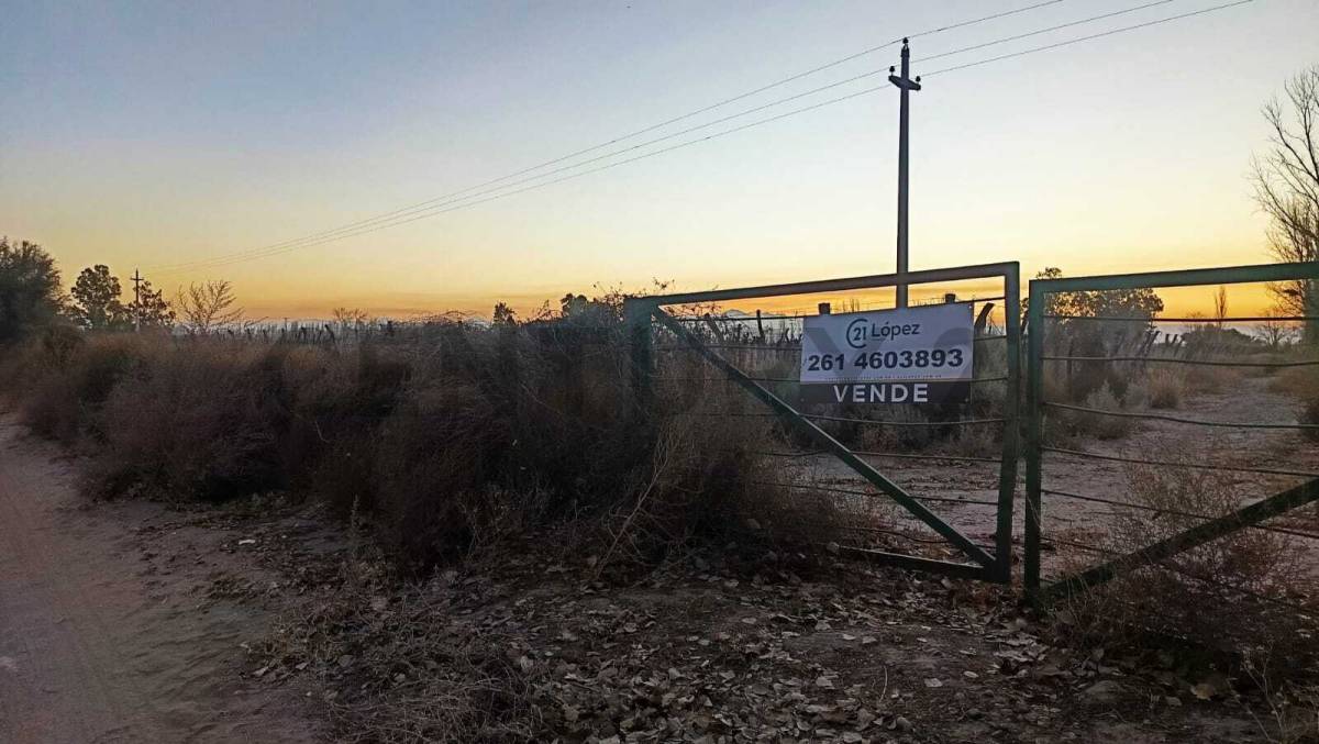 Campo en Venta en San Martin, Mendoza