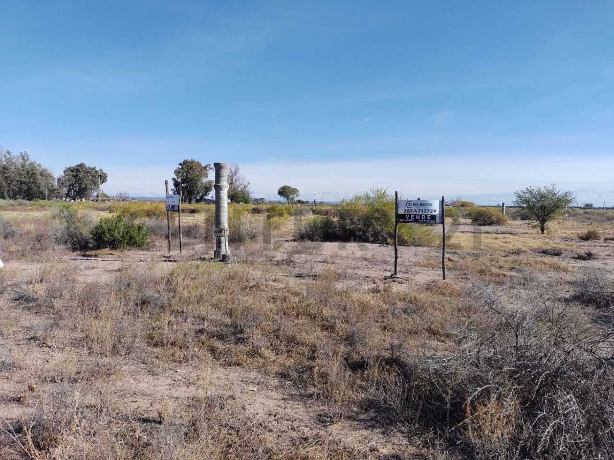 Terreno en Venta en Rivadavia, Mendoza