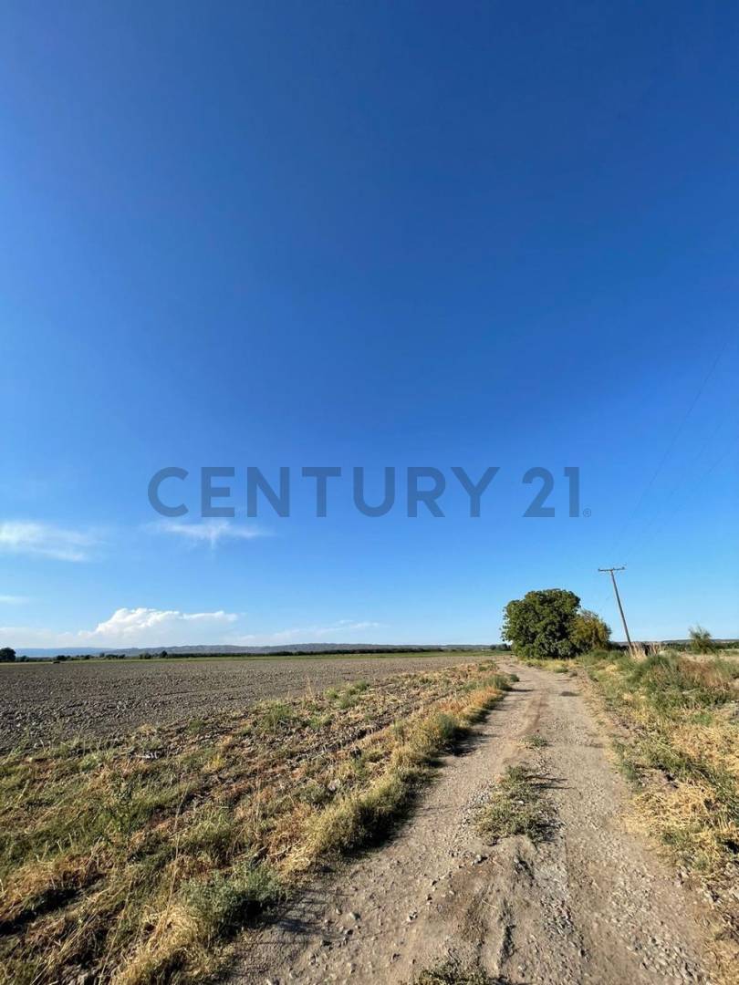 Casa Quinta en Venta en Tupungato, Mendoza