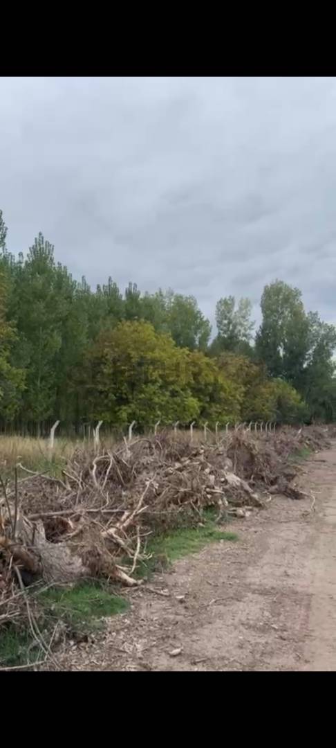 Terreno en Venta en Tunuyan, Mendoza