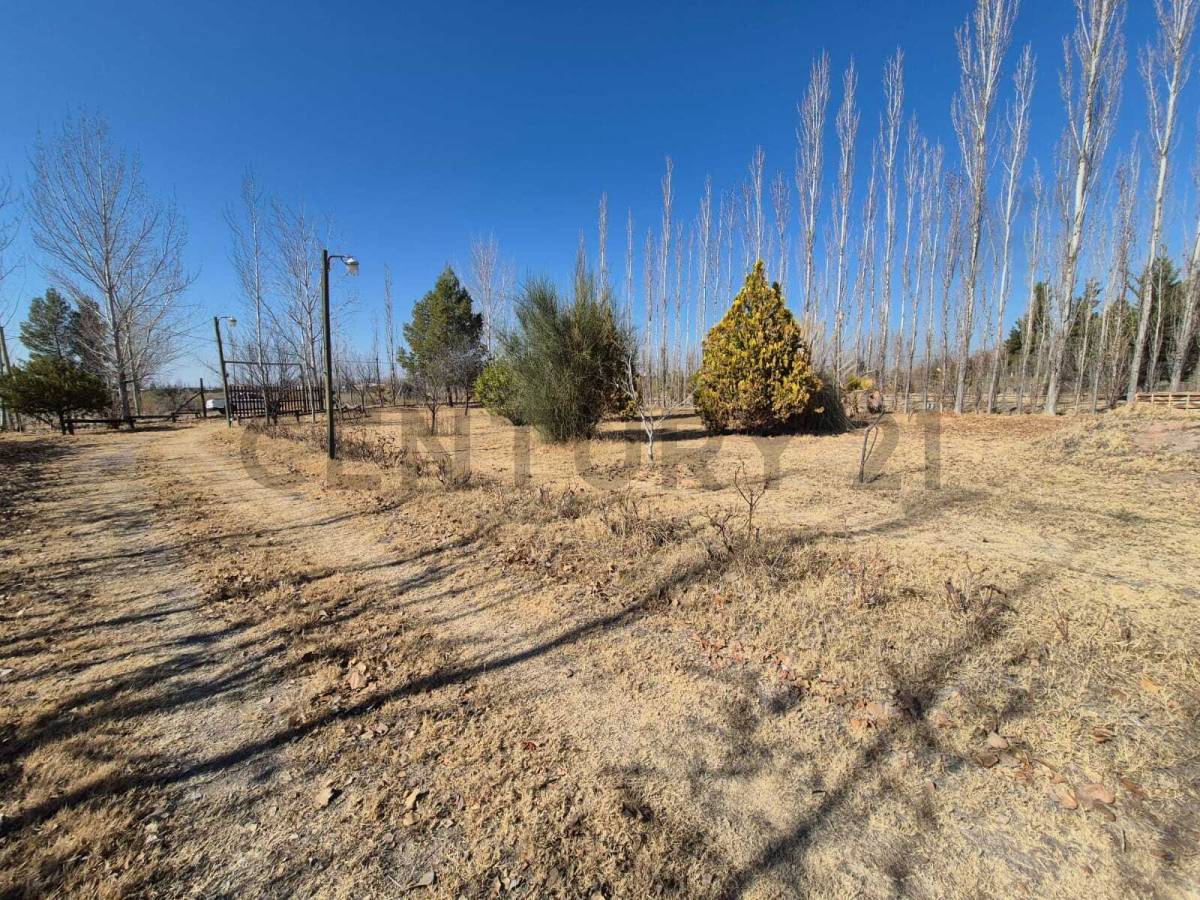 Terreno en Venta en Maipu, Mendoza