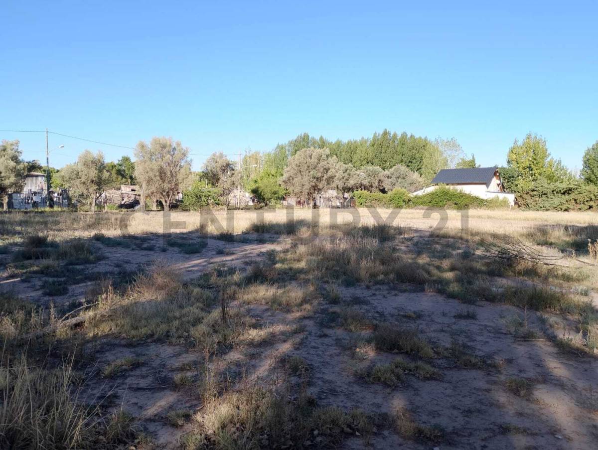 Terreno en Venta en Lujan de Cuyo, Mendoza