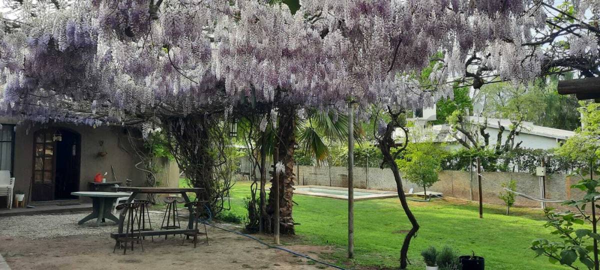 Casa en Venta en Lujan de Cuyo, Mendoza