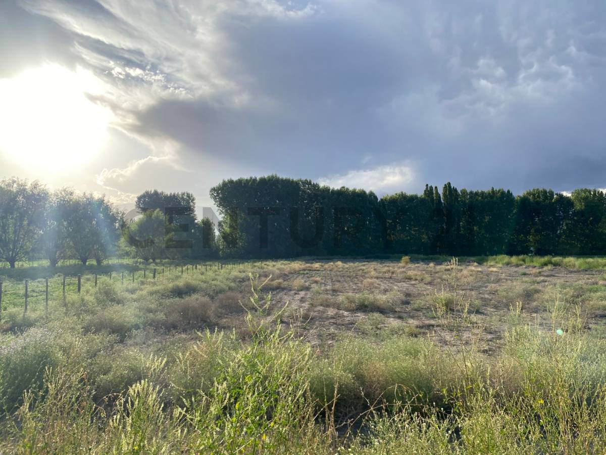 Terreno en Venta en Las Heras, Mendoza