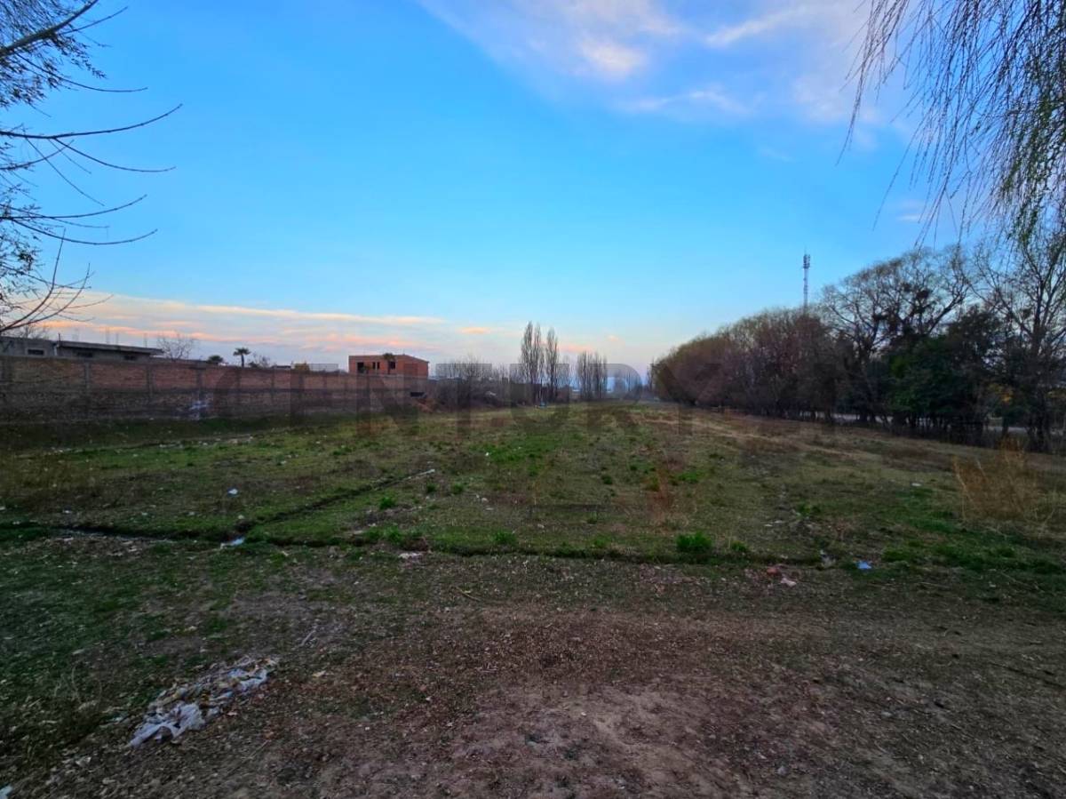 Terreno en Venta en Tupungato, Mendoza