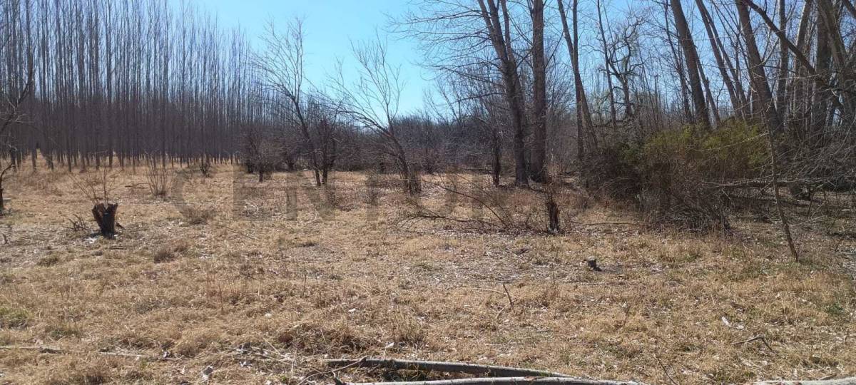 Terreno en Venta en Tunuyan, Mendoza