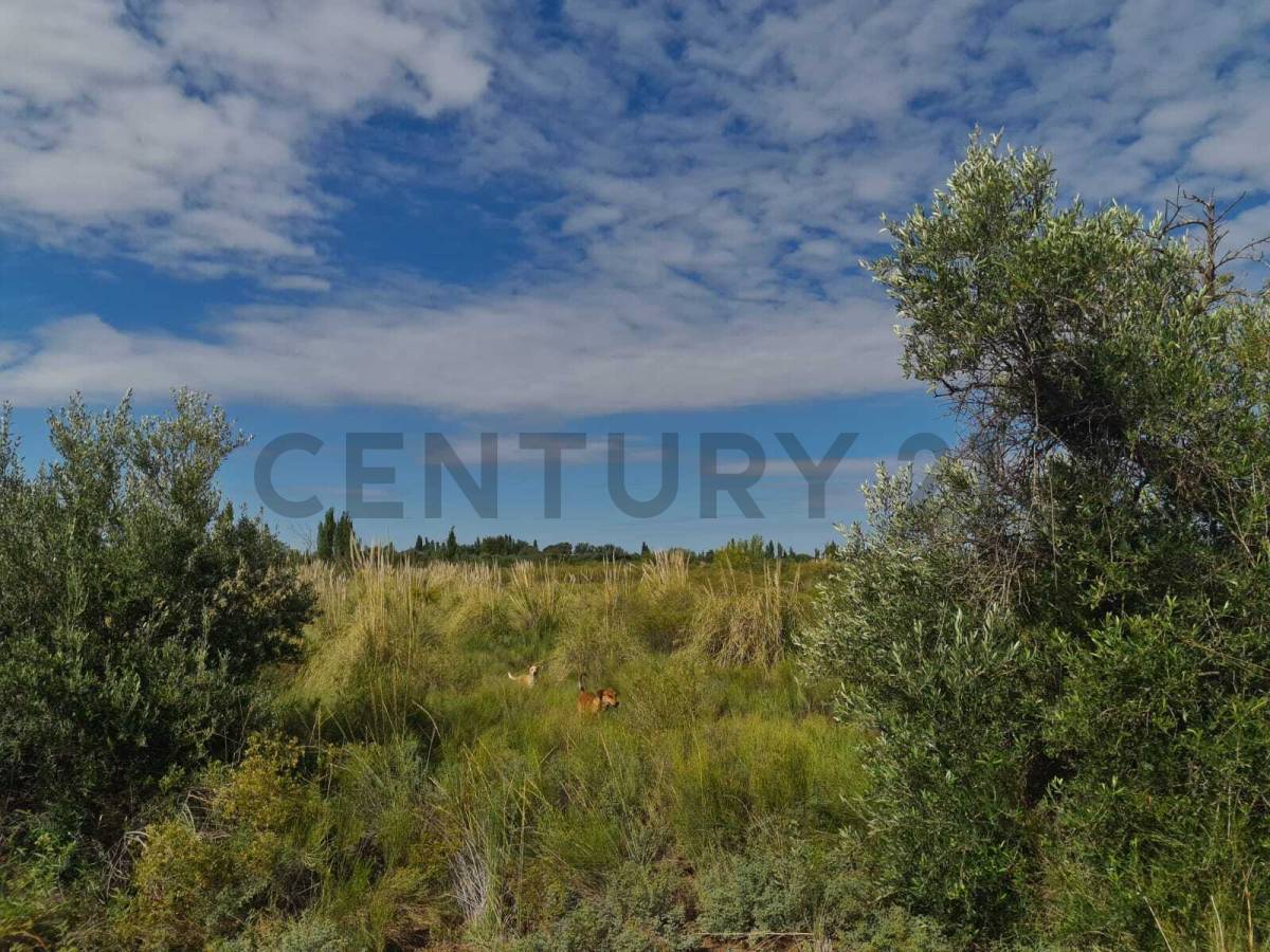 Terreno en Venta en San Rafael, Mendoza