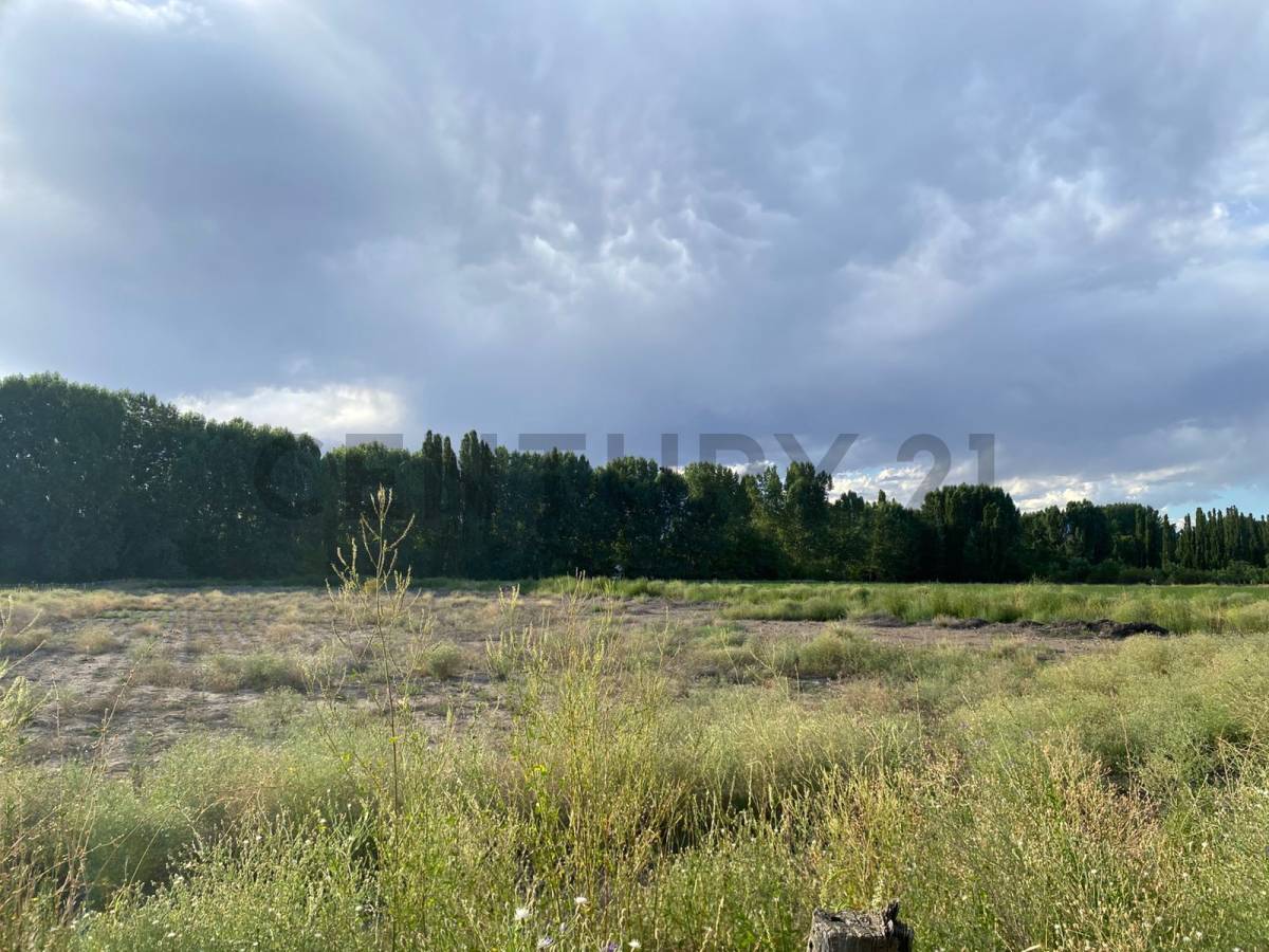 Terreno en Venta en Las Heras, Mendoza