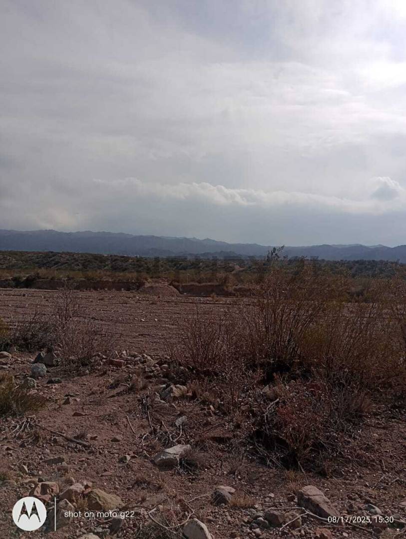 Terreno en Venta en Lujan de Cuyo, Mendoza