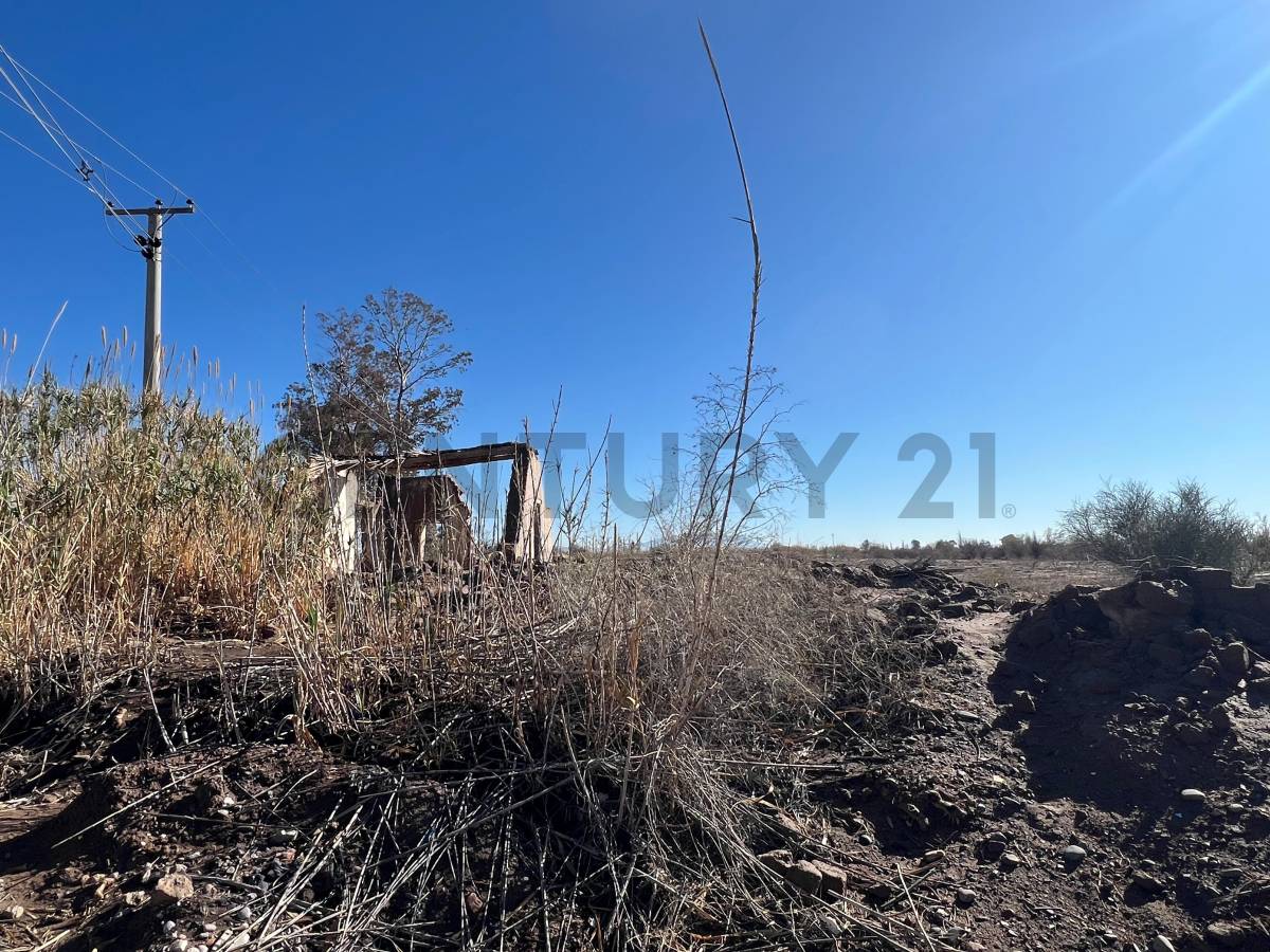 Campo en Alquiler en Pocito, San Juan