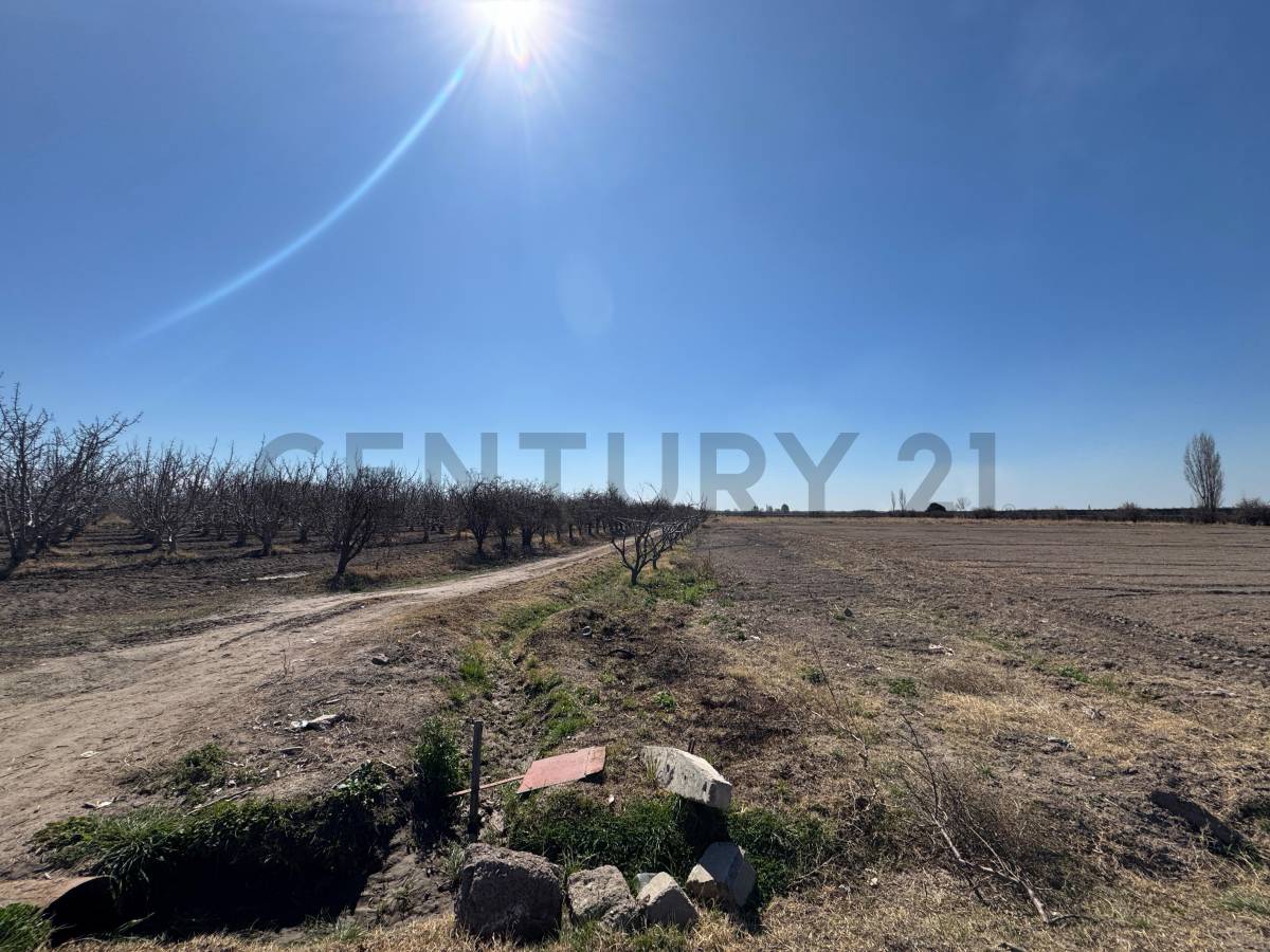 Casa Quinta en Venta en Tunuyan, Mendoza