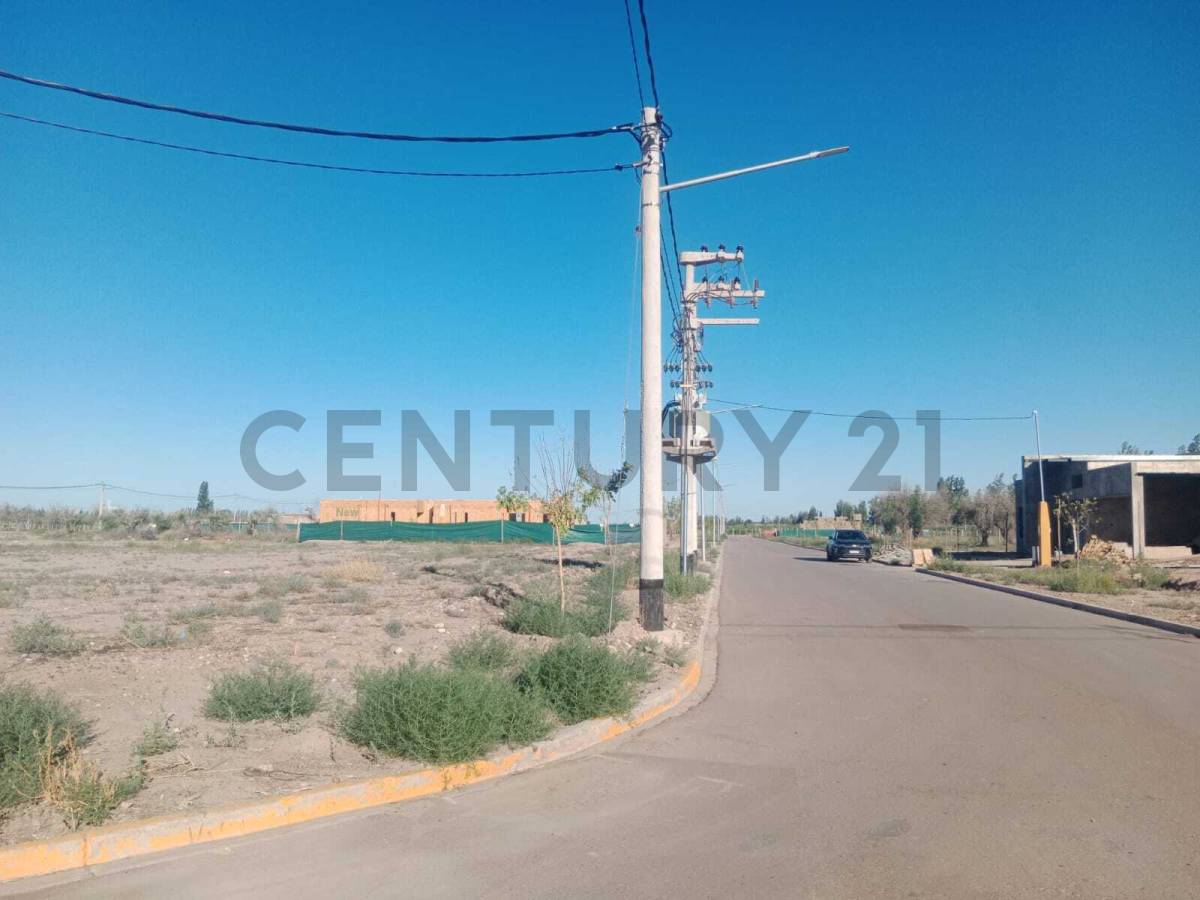 Terreno en Venta en Lujan de Cuyo, Mendoza