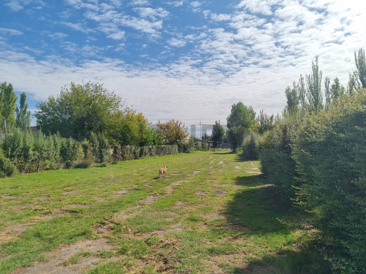Terreno en Venta en San Rafael, Mendoza