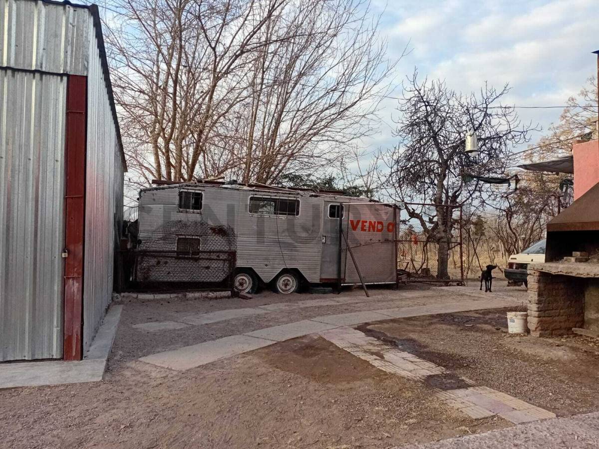 Campo en Venta en San Martin, Mendoza