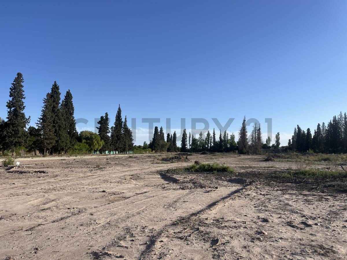 Terreno en Venta en Maipu, Mendoza