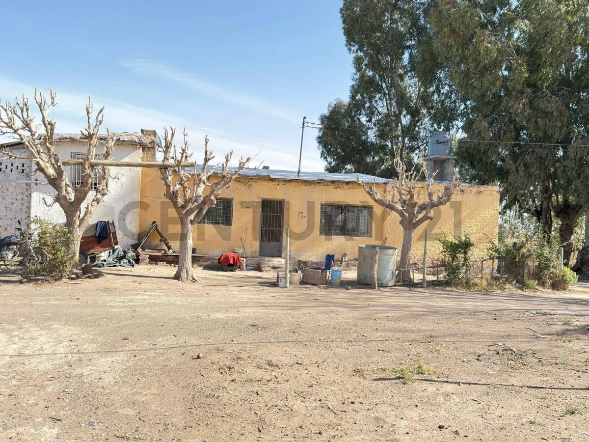 Terreno en Venta en Lavalle, Mendoza