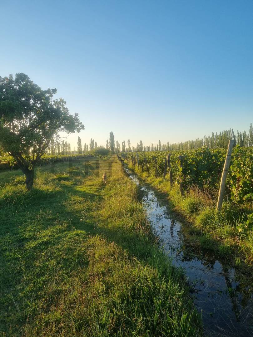 Casa Quinta en Venta en San Rafael, Mendoza
