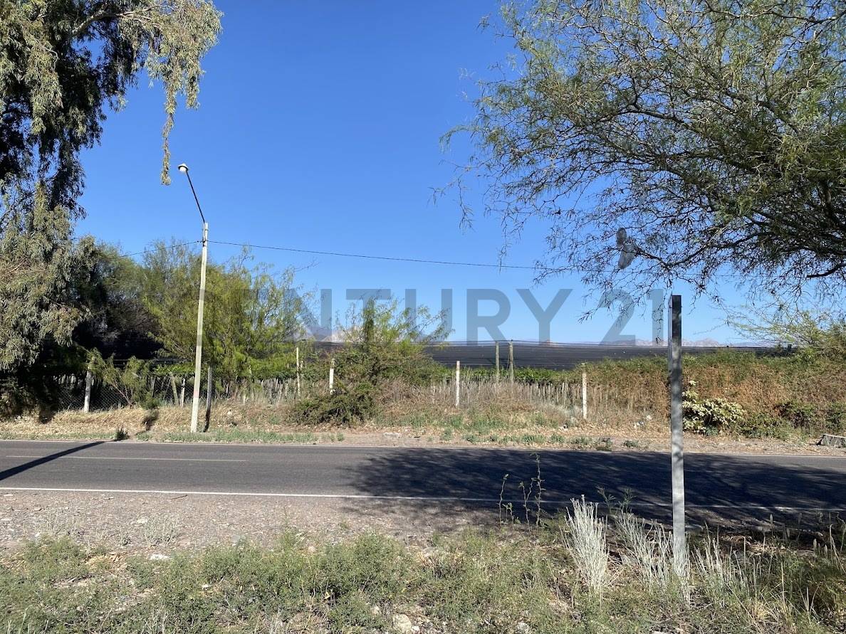 Terreno en Venta en Zonda, San Juan