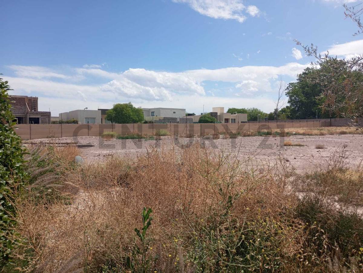 Terreno en Venta en Maipu, Mendoza