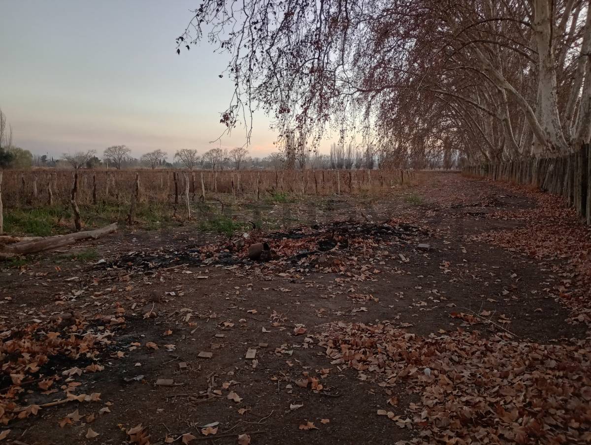 Terreno en Venta en Las Heras, Mendoza