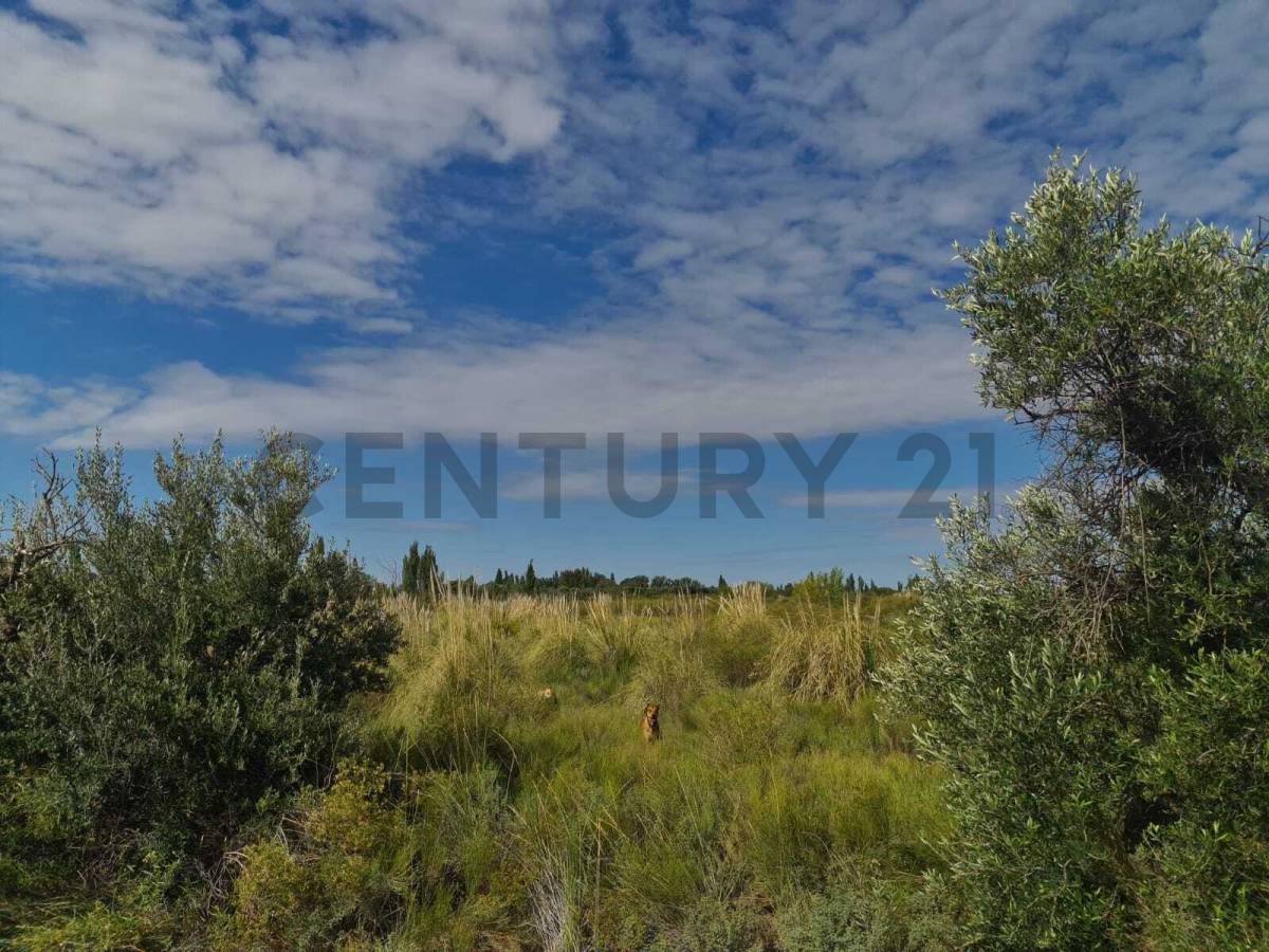 Terreno en Venta en San Rafael, Mendoza