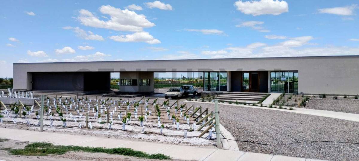 Terreno en Venta en Tupungato, Mendoza