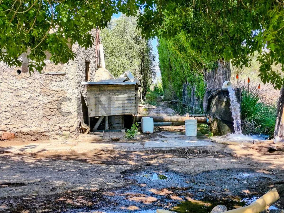 Campo en Venta en San Martin, Mendoza