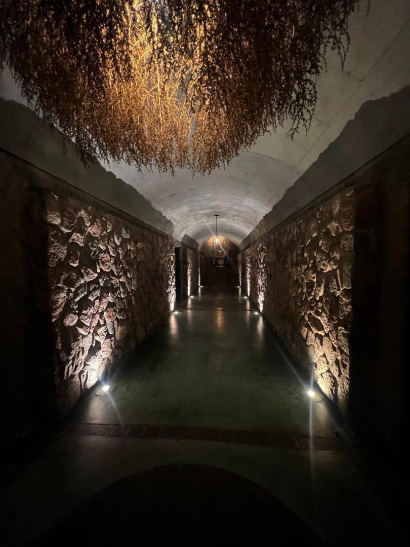 Terreno en Venta en Lujan de Cuyo, Mendoza