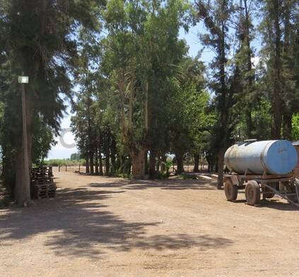 Campo en Venta en 25 de Mayo, San Juan