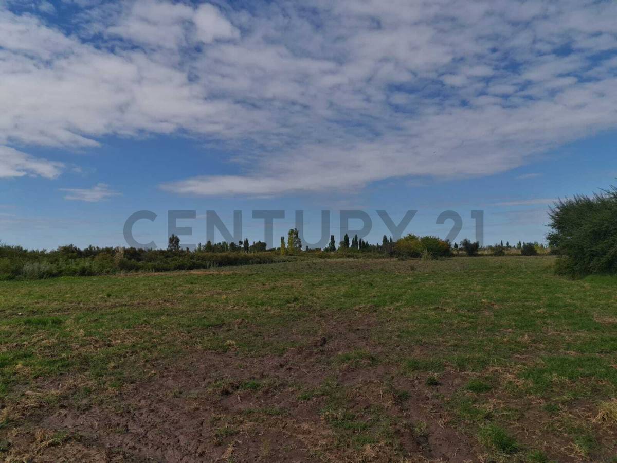 Terreno en Venta en San Rafael, Mendoza