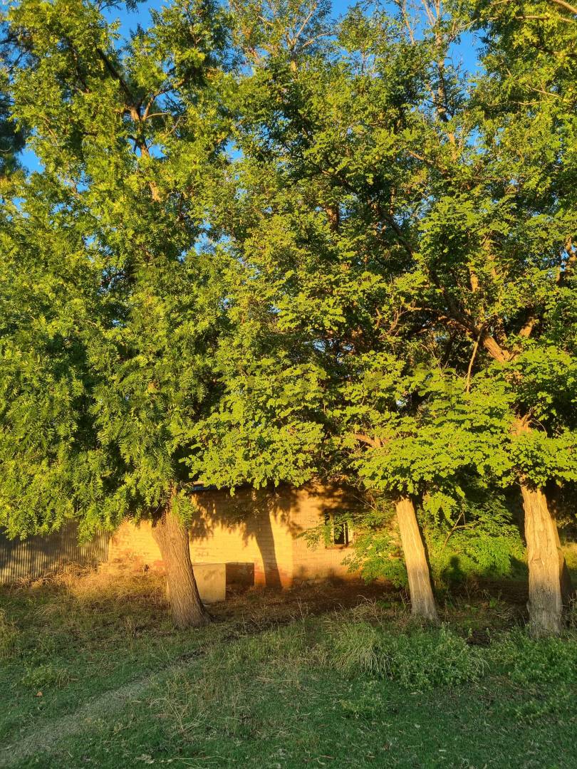 Casa Quinta en Venta en San Rafael, Mendoza