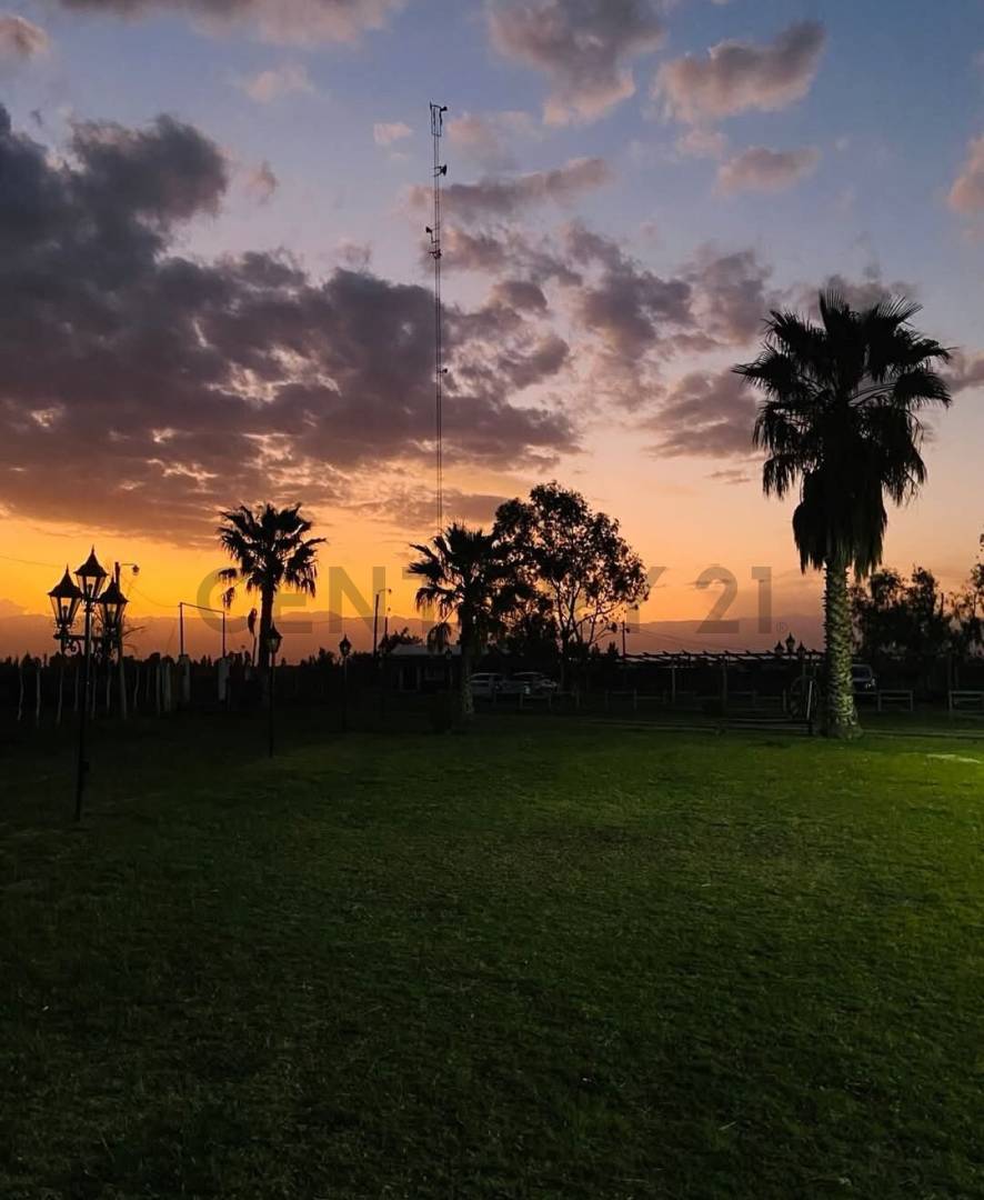 Casa Quinta en Venta en Lavalle, Mendoza