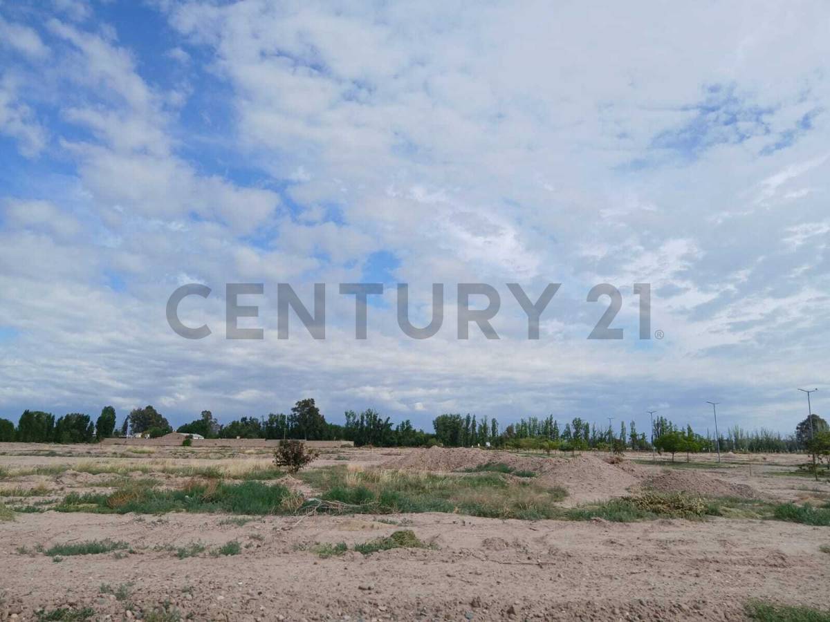 Terreno en Venta en Maipu, Mendoza
