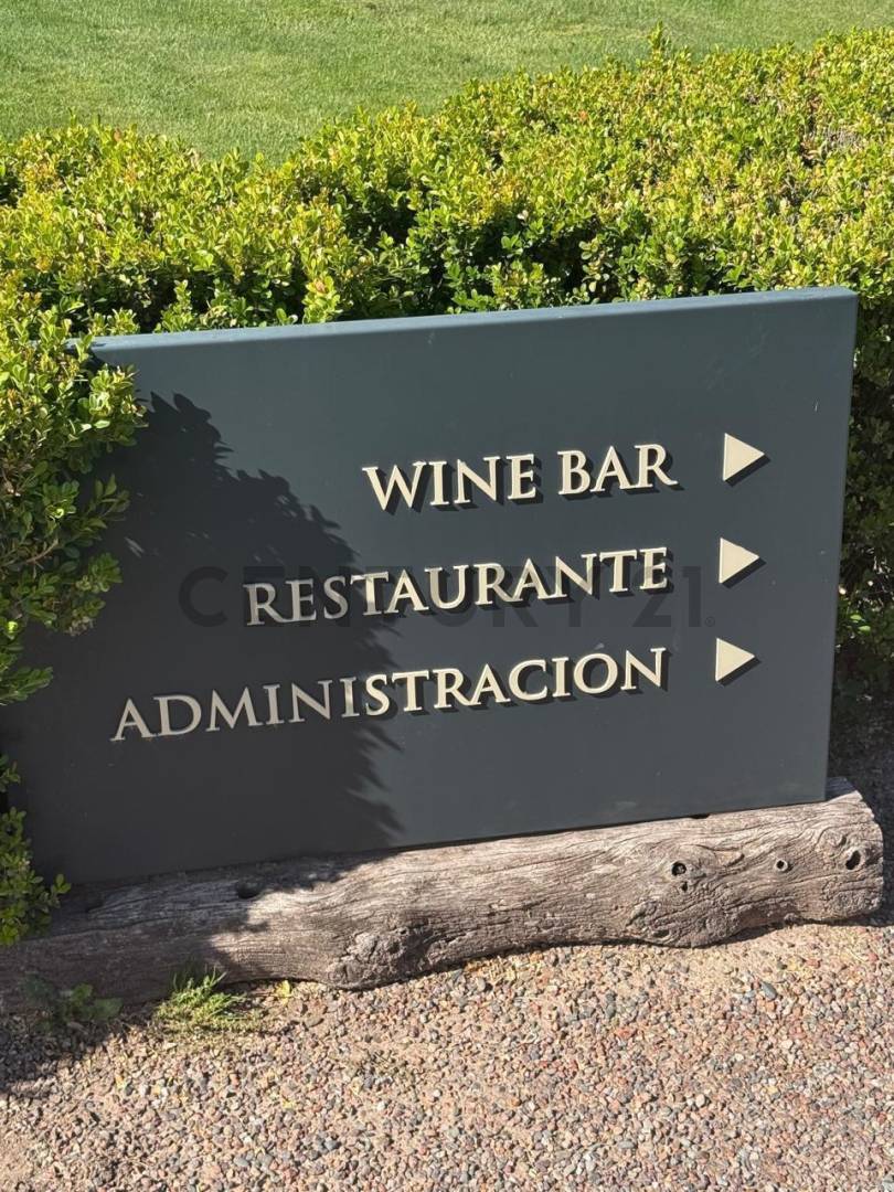 Terreno en Venta en Lujan de Cuyo, Mendoza