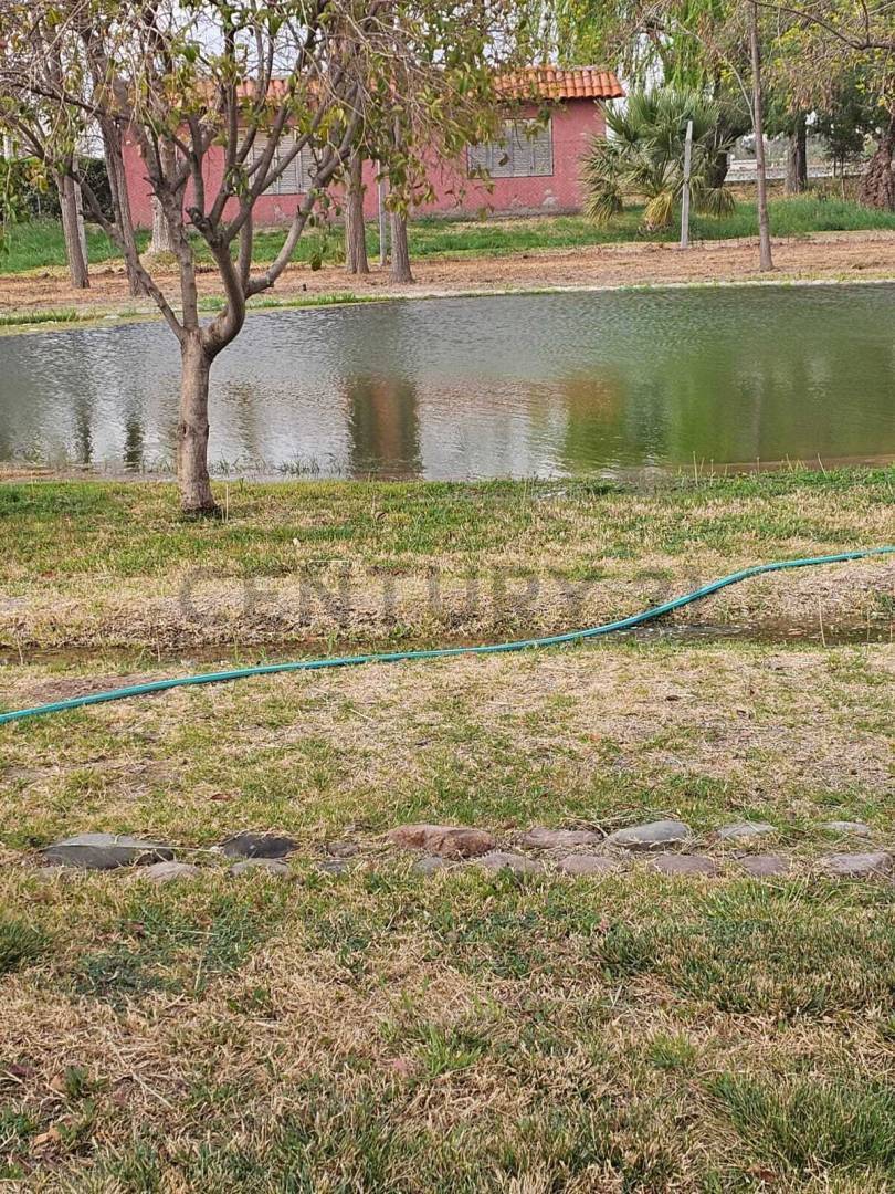 Terreno en Venta en Maipu, Mendoza