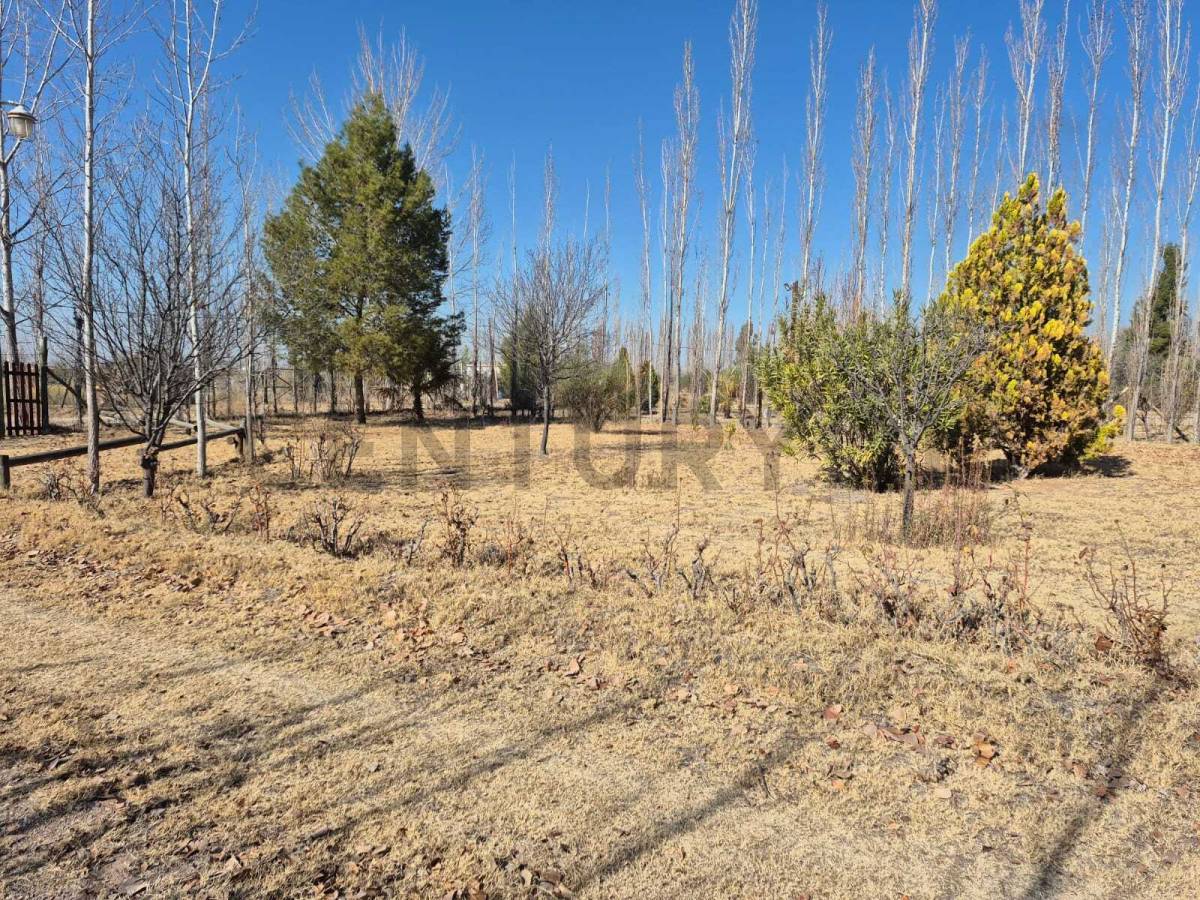 Terreno en Venta en Maipu, Mendoza