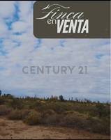Terreno en Venta en Lavalle, Mendoza