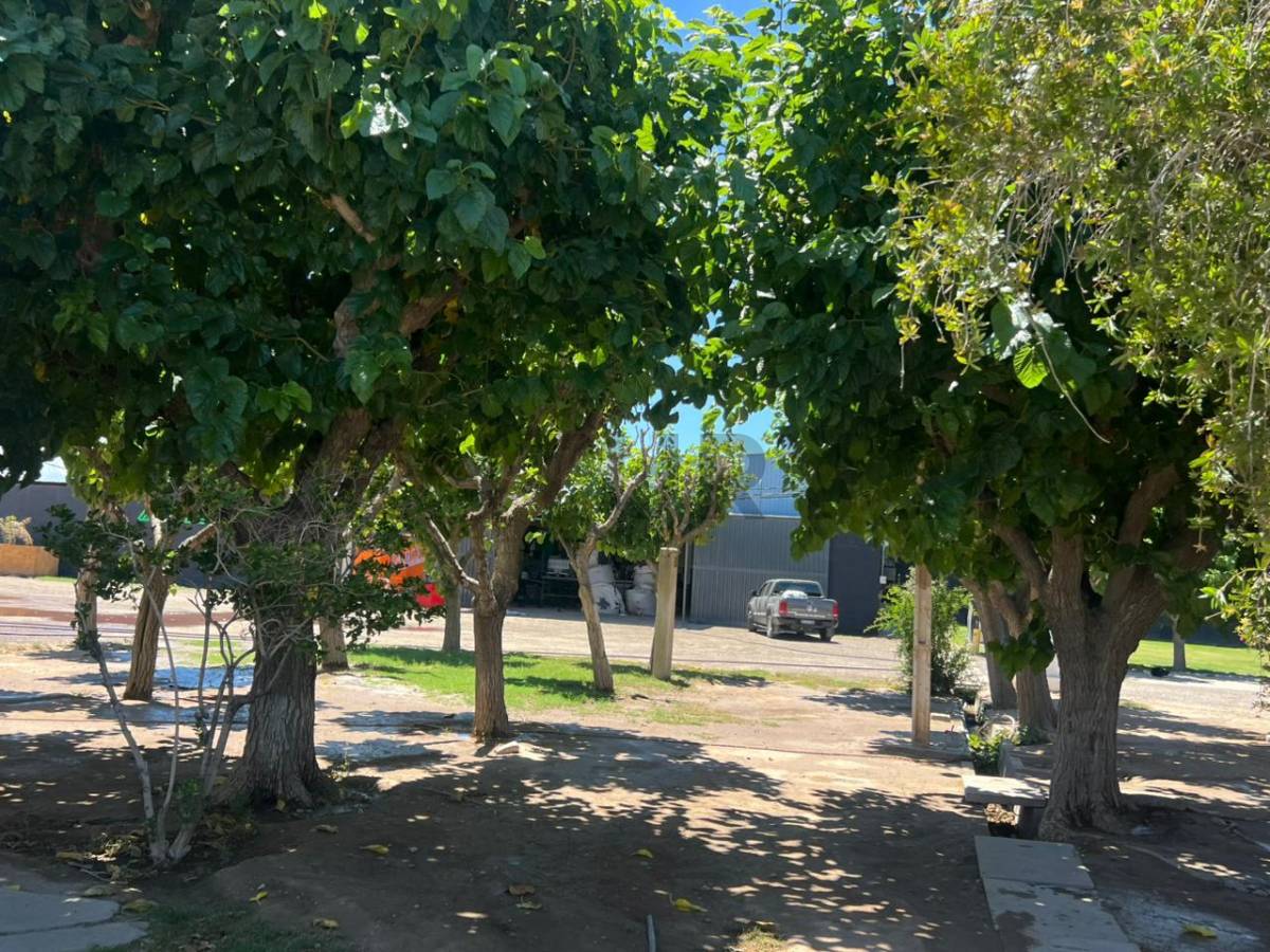 Galpon en Alquiler en Rawson, San Juan