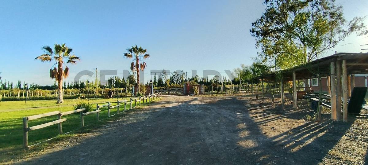 Casa Quinta en Venta en Lavalle, Mendoza