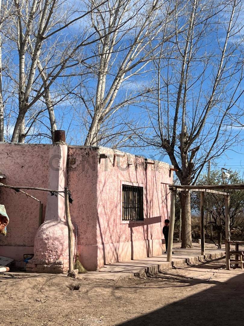 Campo en Venta en Lavalle, Mendoza