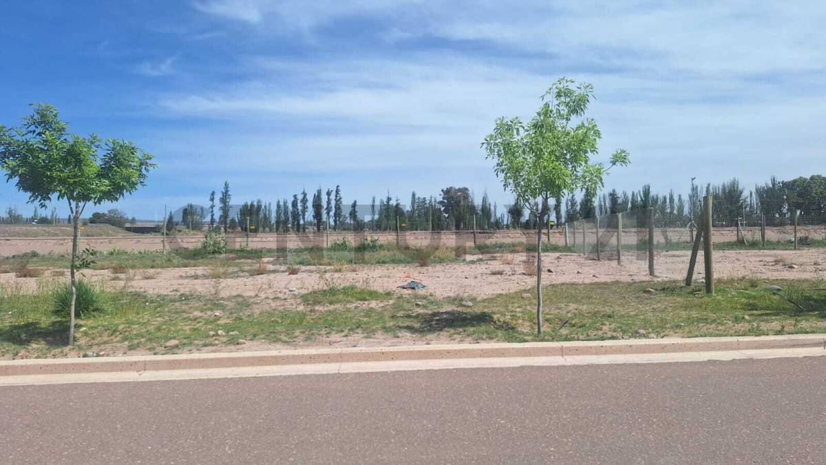 Terreno en Venta en Lujan de Cuyo, Mendoza