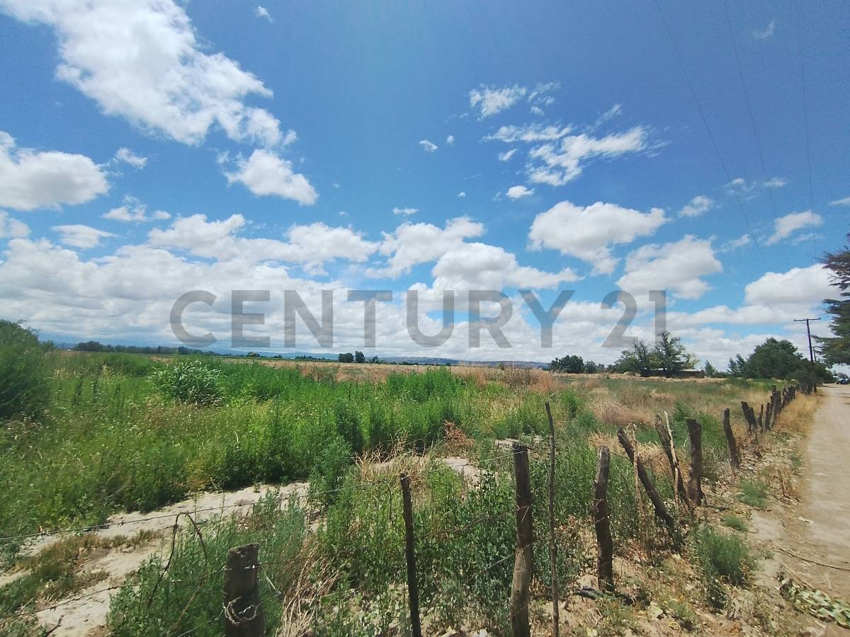 Casa Quinta en Venta en Tupungato, Mendoza