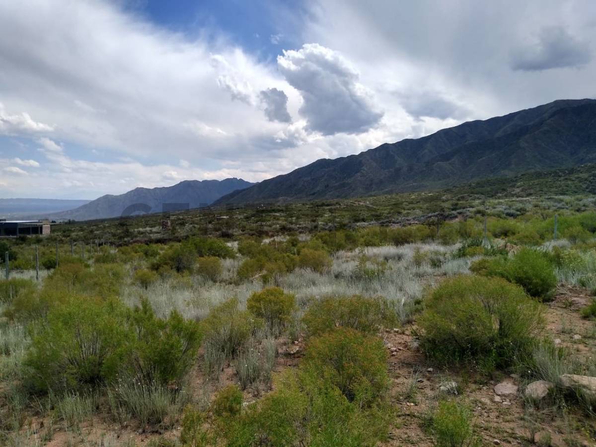 Terreno en Venta en Lujan de Cuyo, Mendoza
